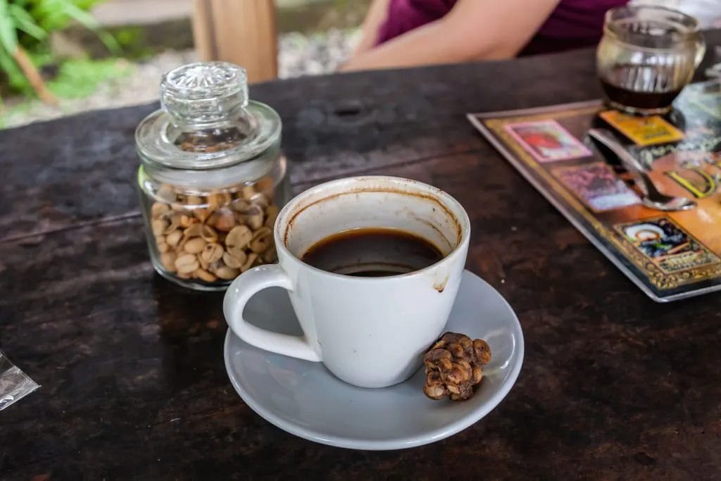 café kopi luwak